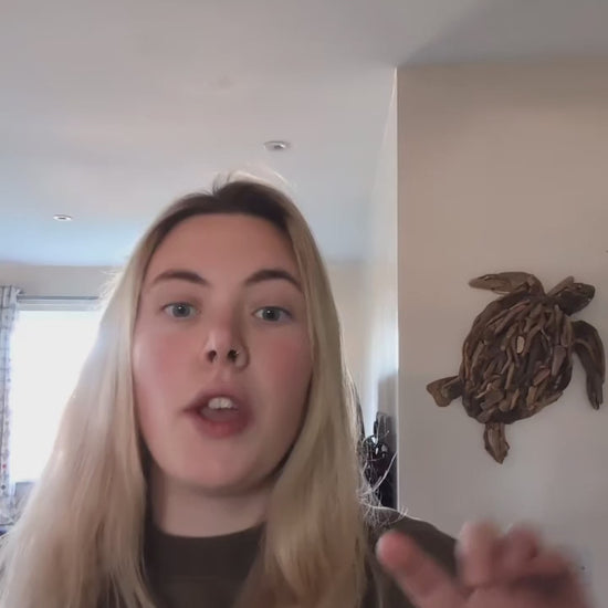 leave in conditioner how to use video, all hair types, demonstration, long hair, vegan haircare